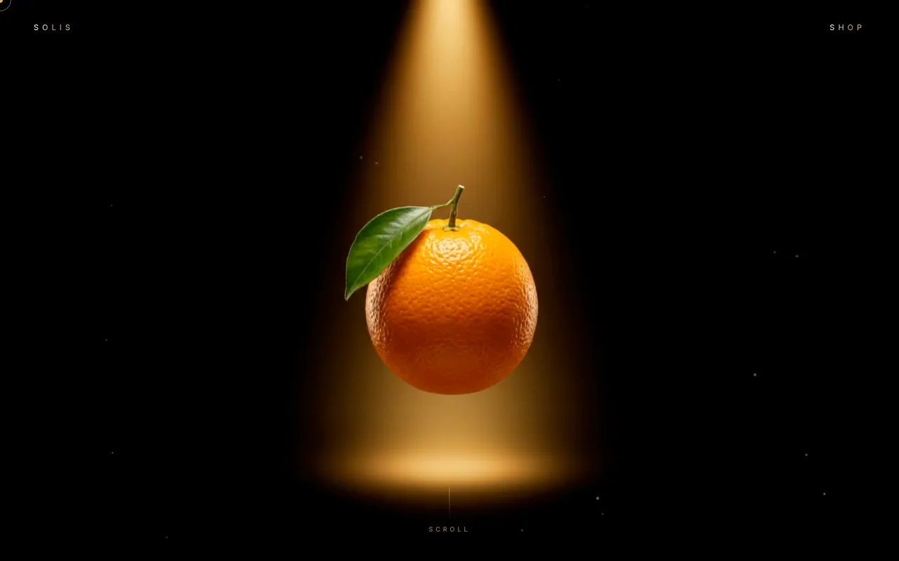 צילום אתר SOLIS